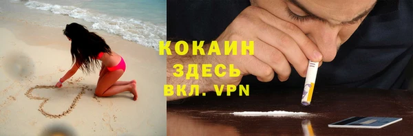 прущие грибы Лихославль