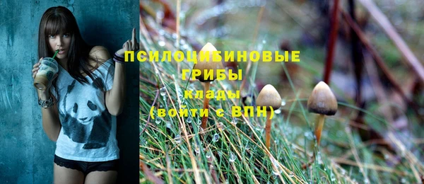 прущие грибы Лихославль