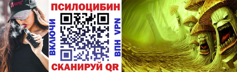 где купить наркоту  Мостовской  Псилоцибиновые грибы GOLDEN TEACHER 